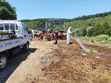 Kurban satış alanları ilaçlanıyor Kurban satış alanları ilaçlanıyor