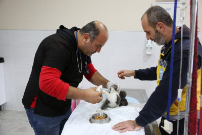 Patili dostlarımız için hizmet üretiyoruz