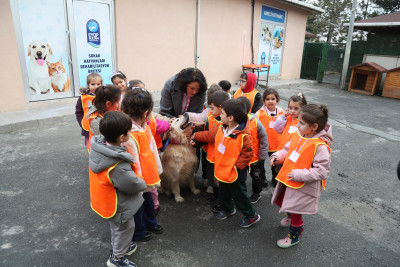 Hurley'in yeni sıcak yuvası Çırçır ÇEM oldu