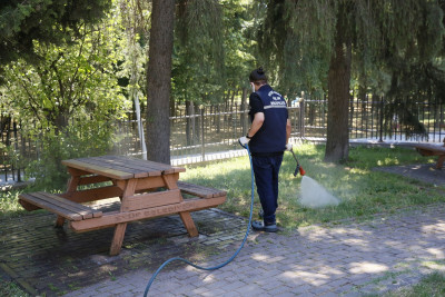 Eyüpsultan'da 29 mahallede ilaçlama çalışmaları aralıksız sürüyor