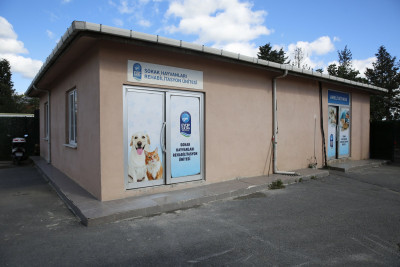 Kemerburgaz Sokak Hayvanları Kliniği Can Dostların Yanında