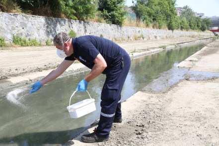 Eyüpsultan'da yaz mesaisi: 29 mahallede haşereye karşı etkili mücadele