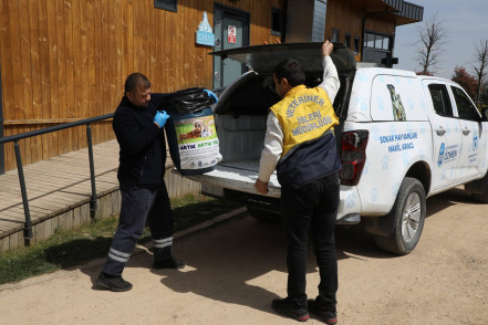 Yemek artıkları patili dostlarımıza can oluyor